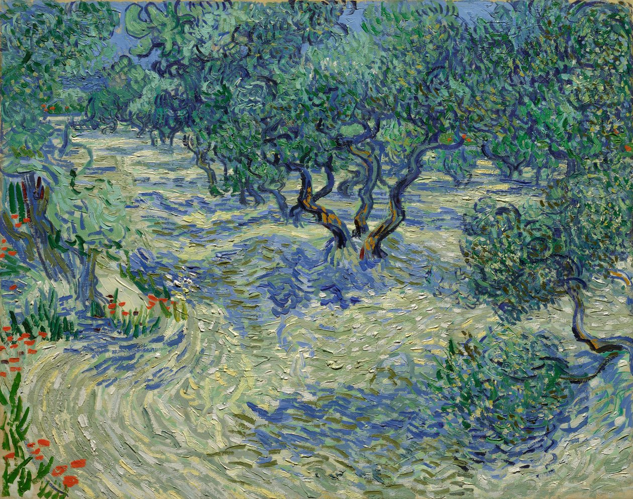 Oliwkowy sad autorstwa Vincent van Gogh