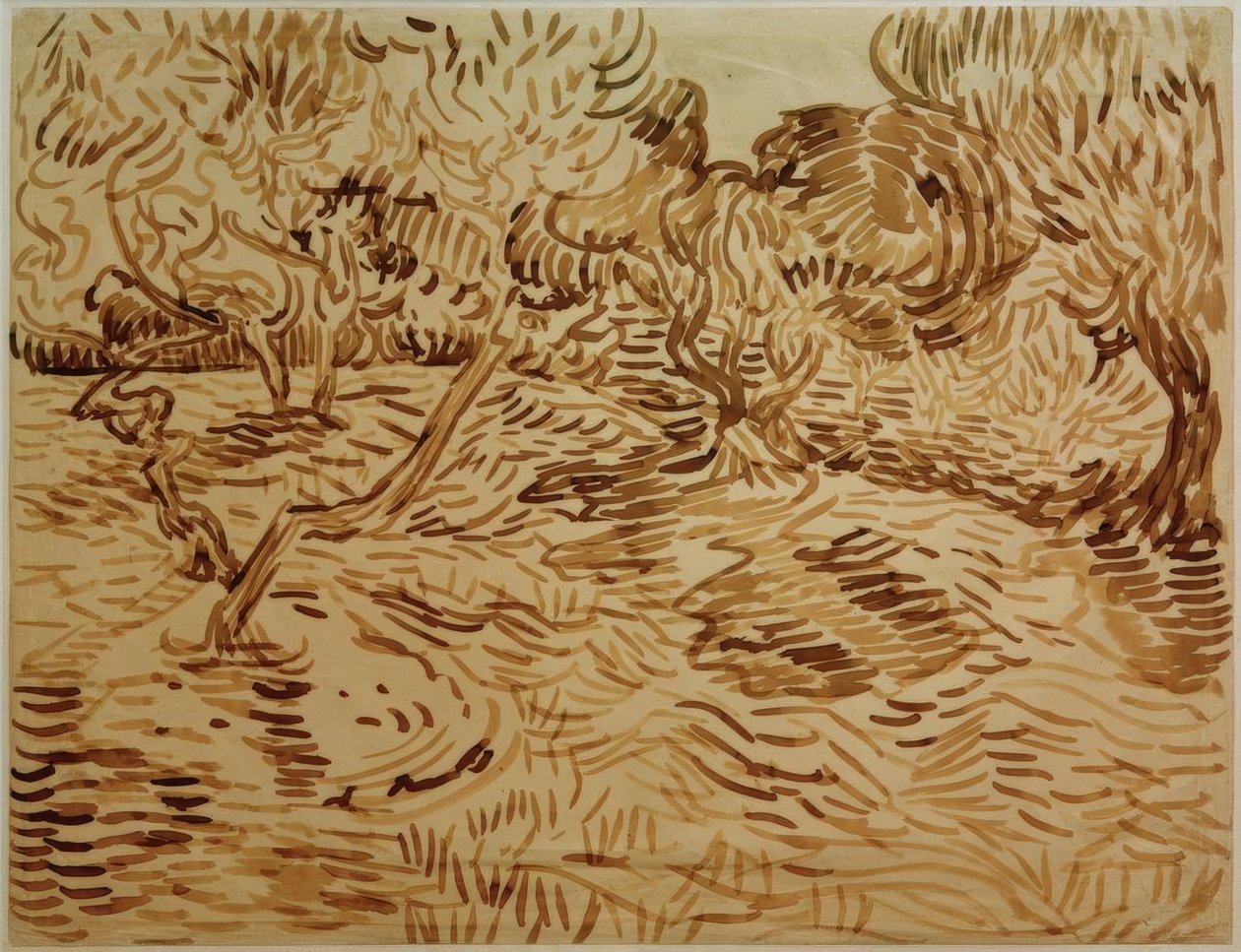Gaj oliwny autorstwa Vincent van Gogh