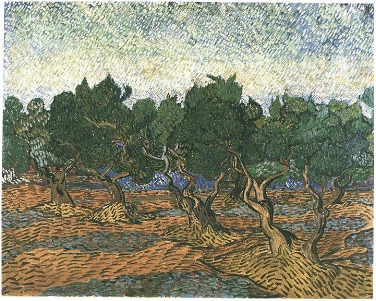 Gaj oliwny 3 autorstwa Vincent van Gogh