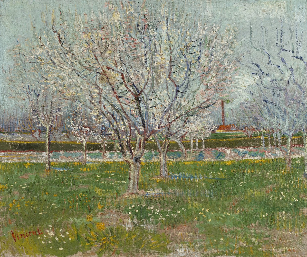 Sad w Kwiecie (Śliwa) autorstwa Vincent van Gogh