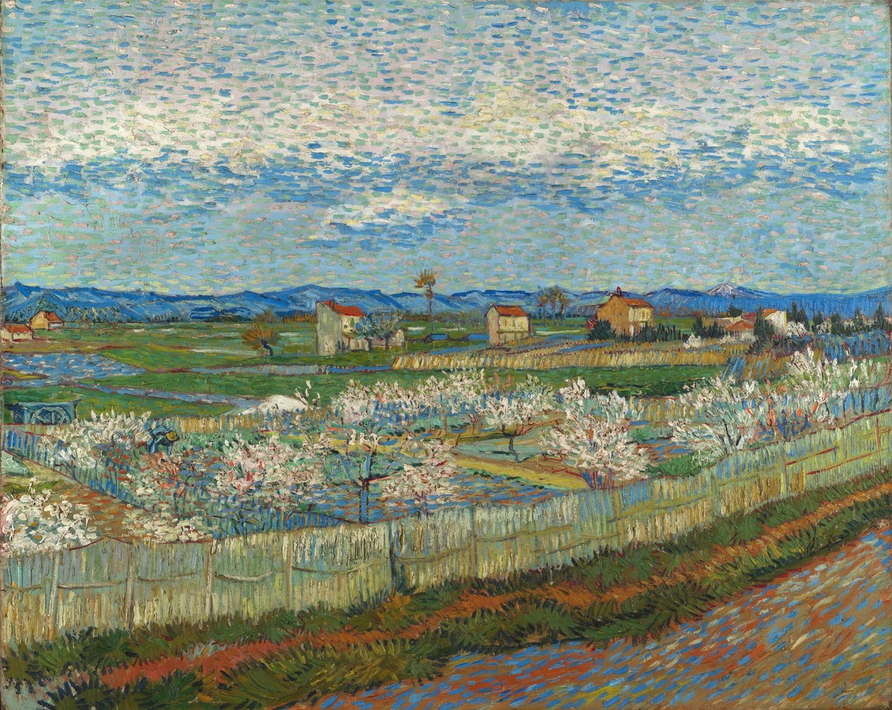 Kwitnące drzewa brzoskwiniowe autorstwa Vincent van Gogh