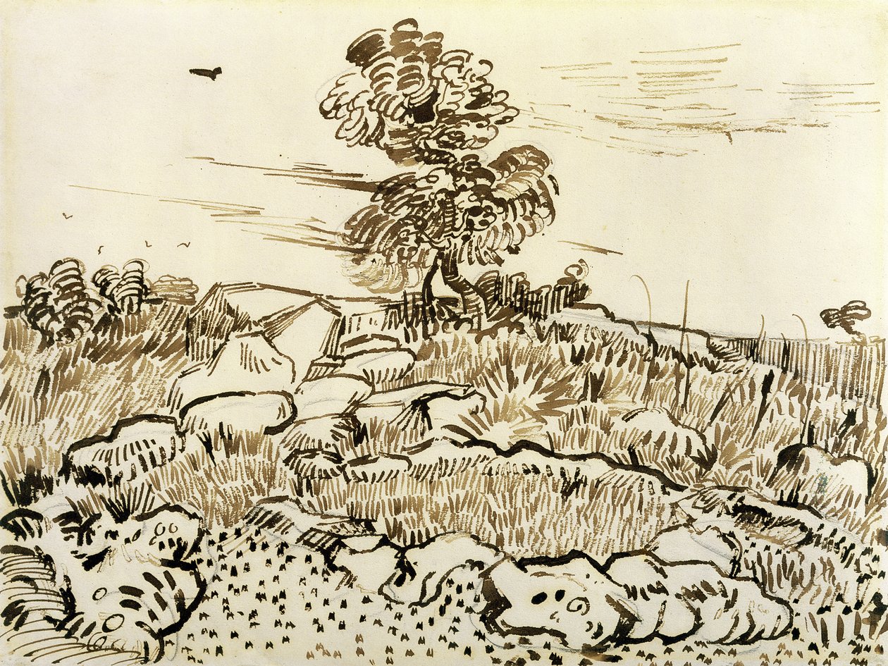 Skaliste podłoże w Montmajour, 1888-89 (pióro, trzcinowe pióro i tusz na papierze) autorstwa Vincent van Gogh