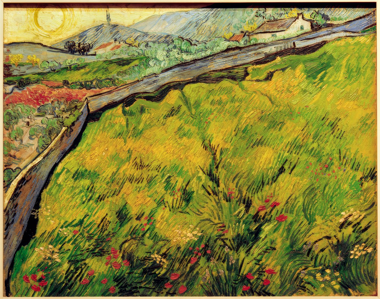 Pole nasion o wschodzie słońca autorstwa Vincent van Gogh