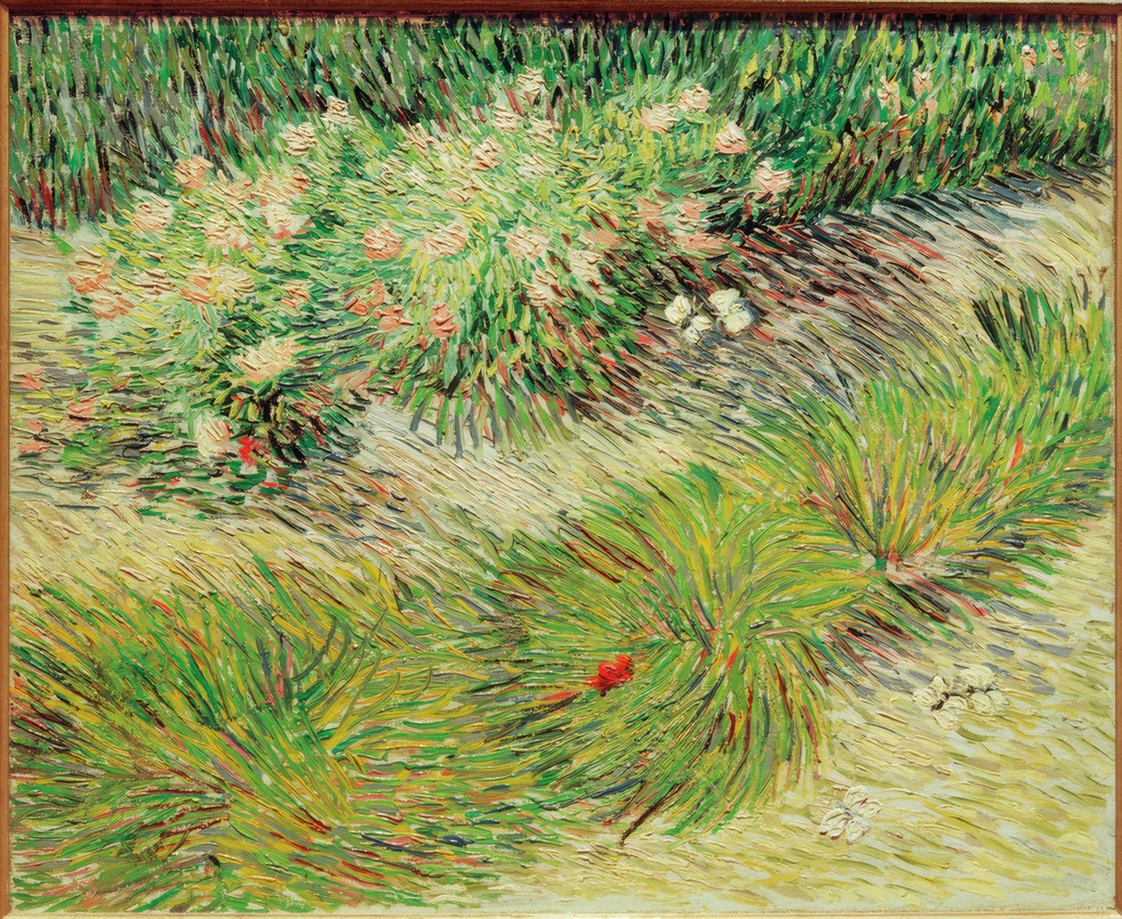 Motyle i kwiaty autorstwa Vincent van Gogh