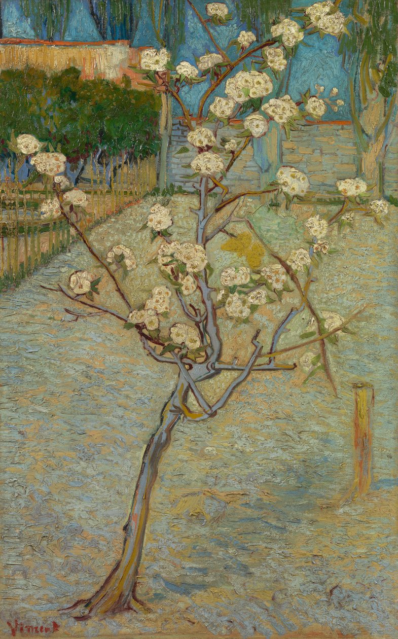 Mała grusza w kwiecie autorstwa Vincent van Gogh