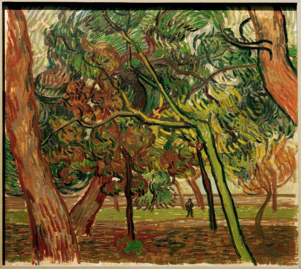 Studiuj ze świerkami jesienią autorstwa Vincent van Gogh