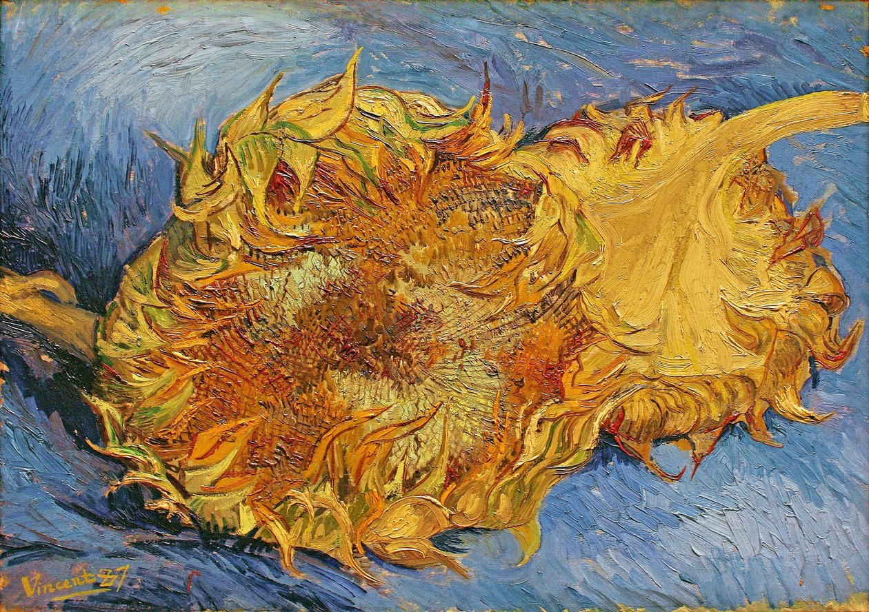 Dwa cięte słoneczniki autorstwa Vincent van Gogh