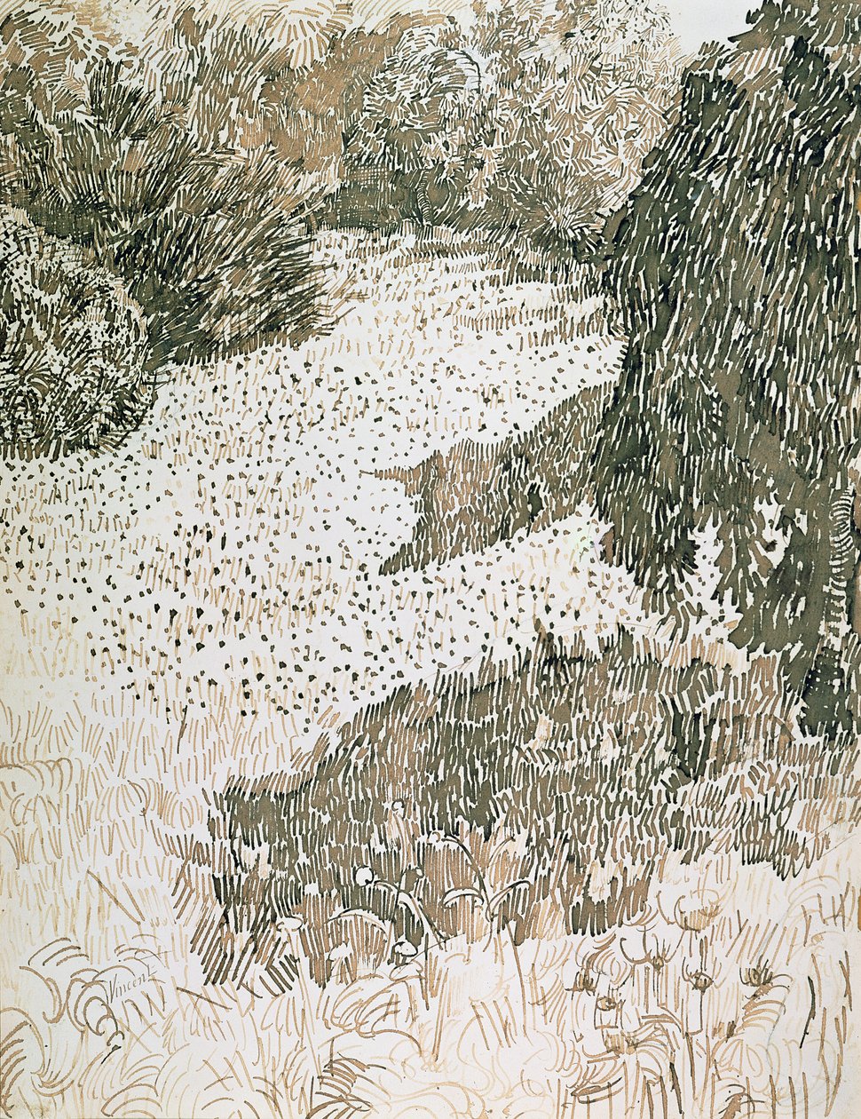 Zakątek parku, 1888 (tusz i ołówek na papierze) autorstwa Vincent van Gogh