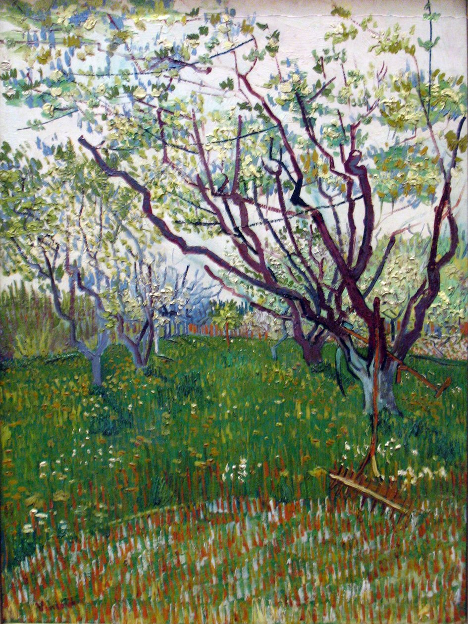 Kwitnący sad autorstwa Vincent van Gogh