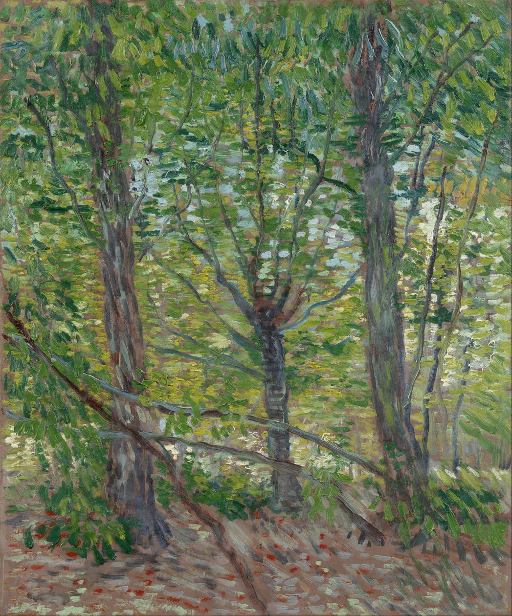 Drzewa autorstwa Vincent van Gogh