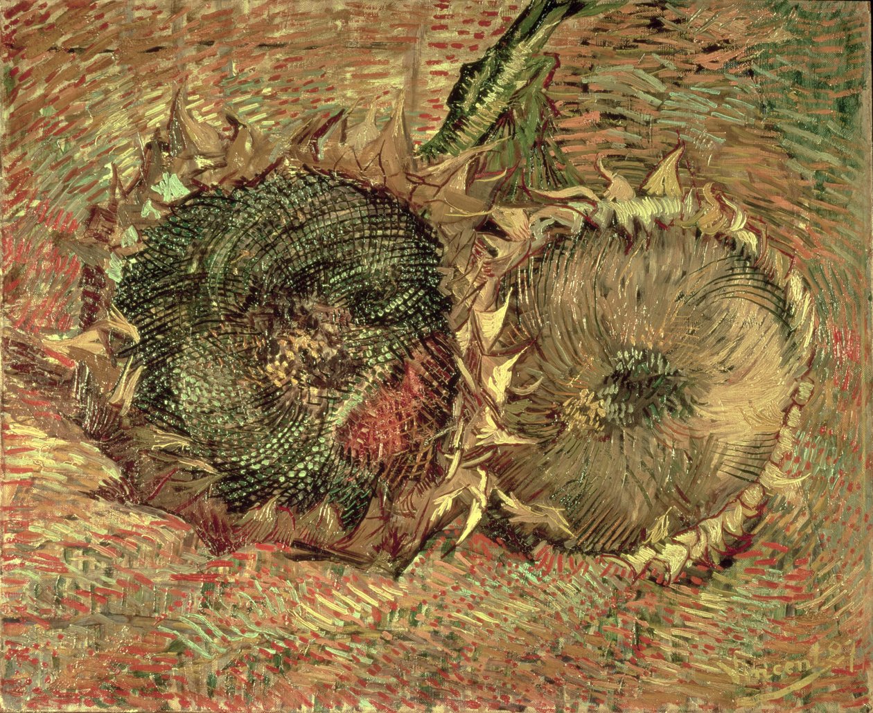 Dwa cięte słoneczniki, 1887 autorstwa Vincent van Gogh