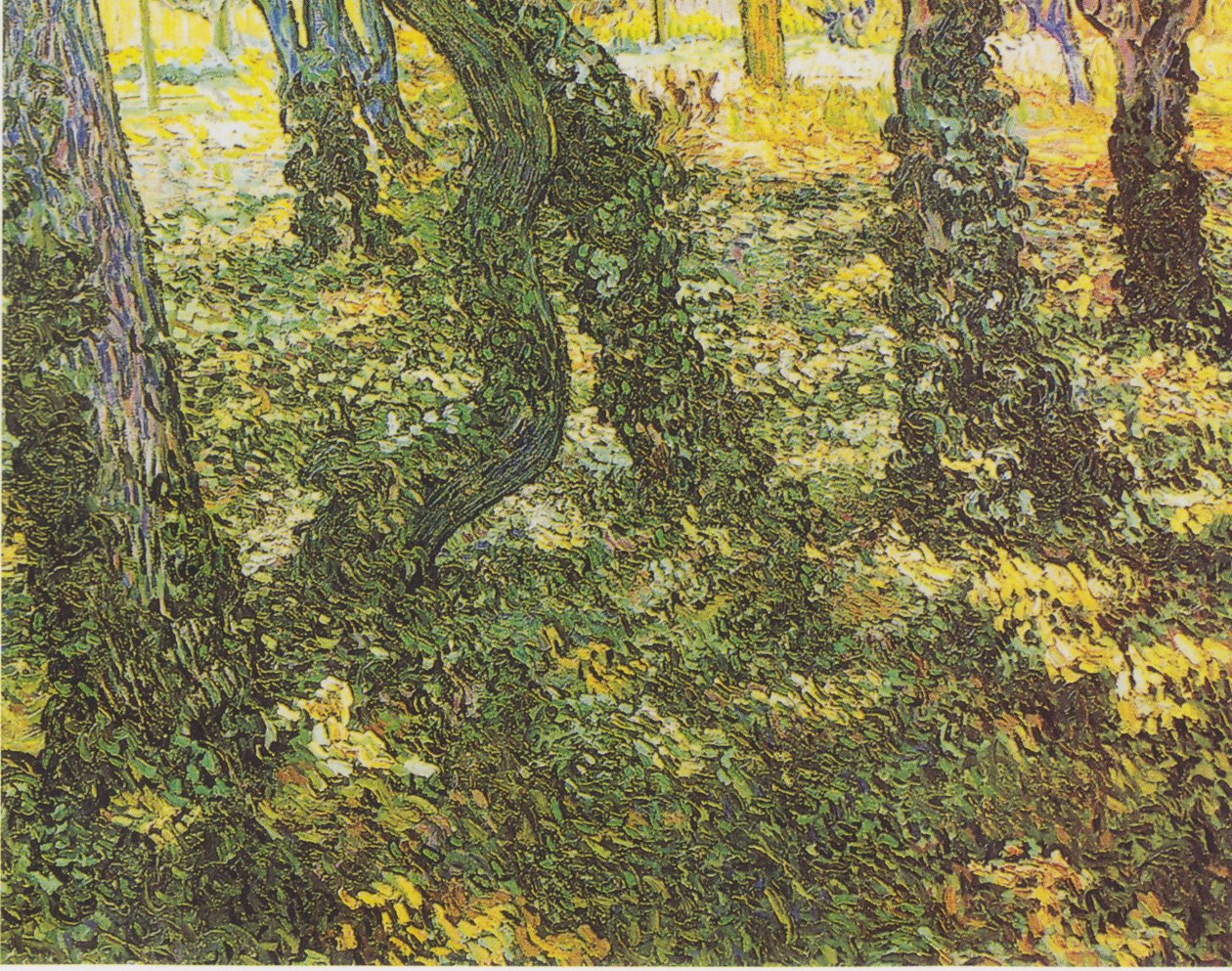 Podmokłe zarośla z bluszczem autorstwa Vincent van Gogh