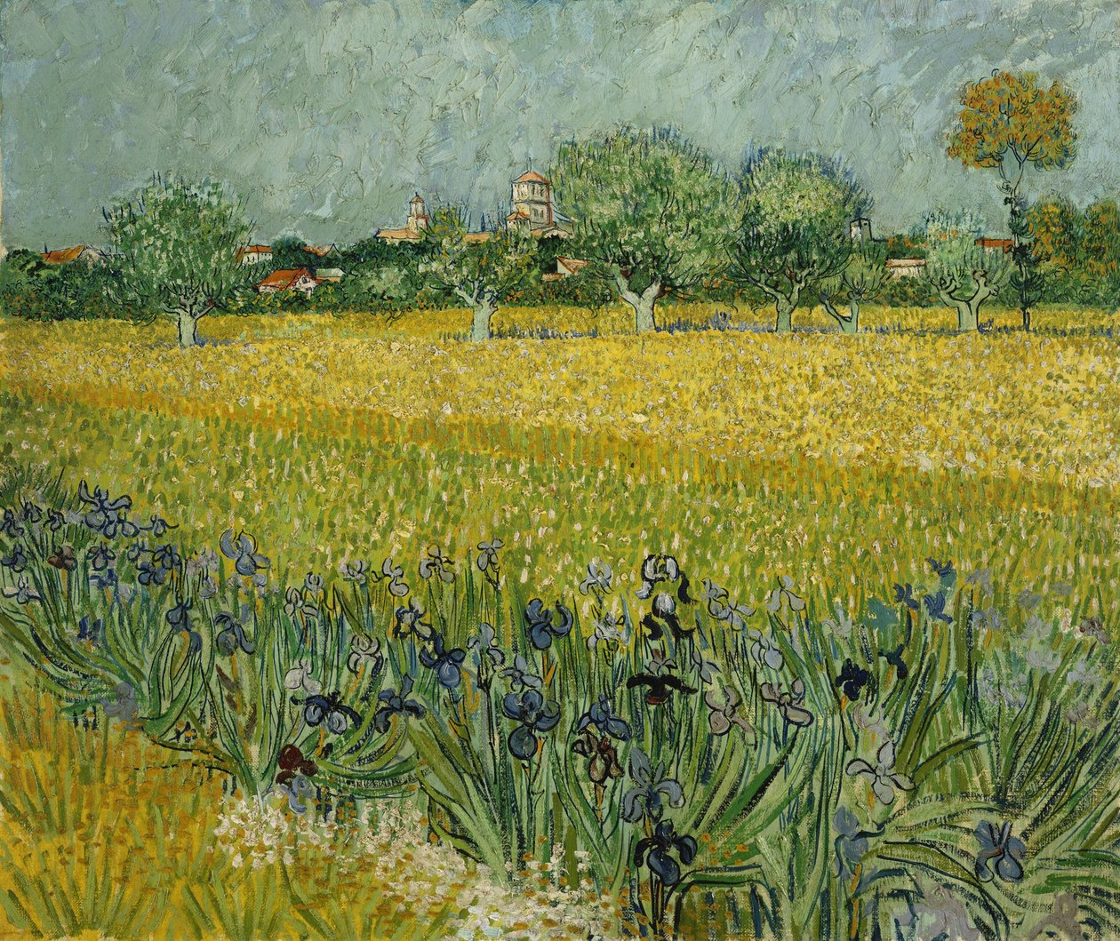 Pole kwiatów w pobliżu Arles autorstwa Vincent van Gogh