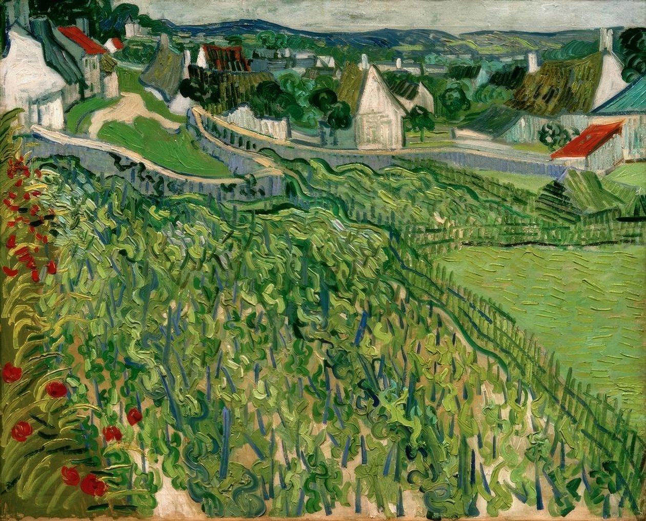 Winnice z widokiem na Auvers autorstwa Vincent van Gogh