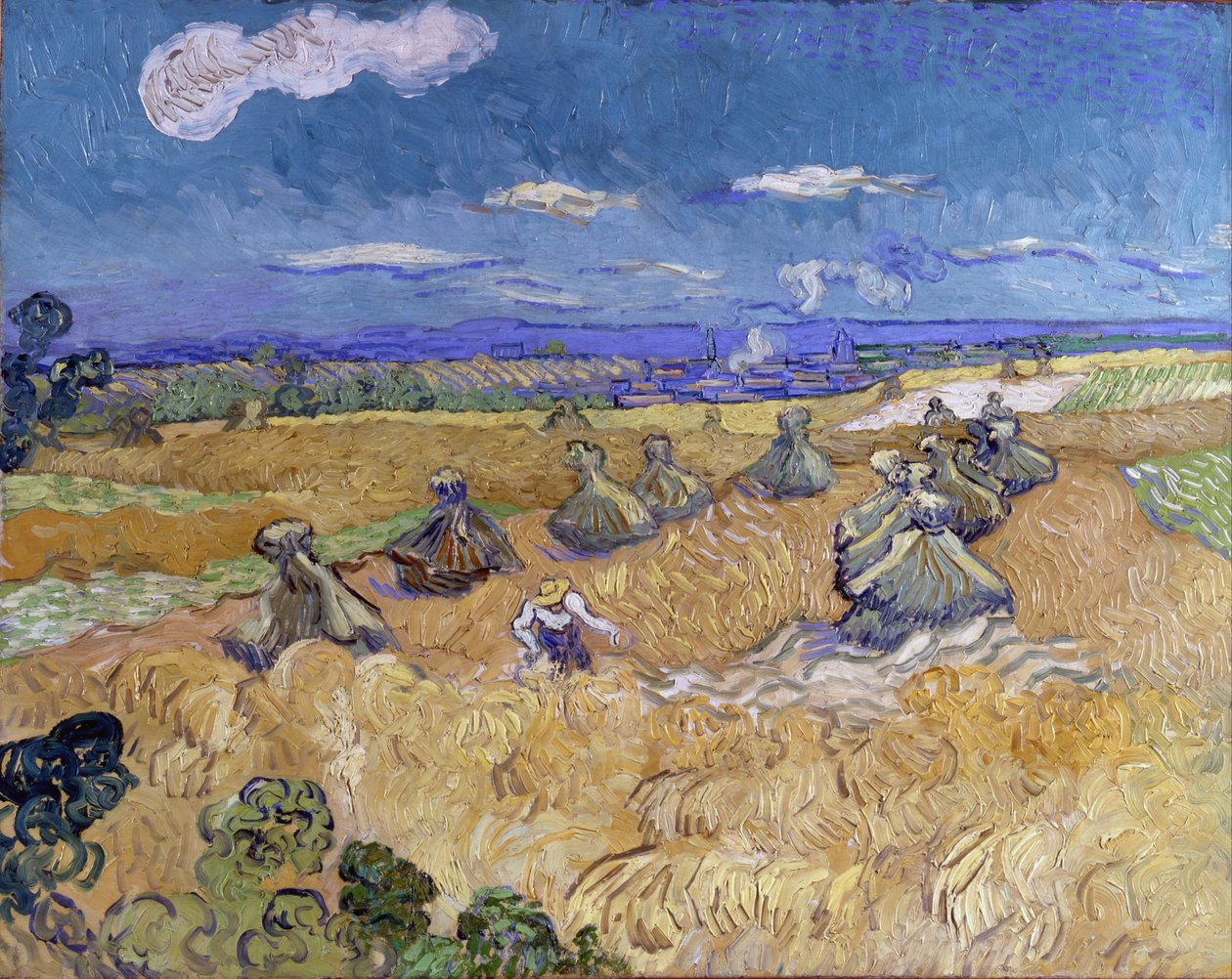 Pola pszenicy ze żniwiarzem, Auvers autorstwa Vincent van Gogh