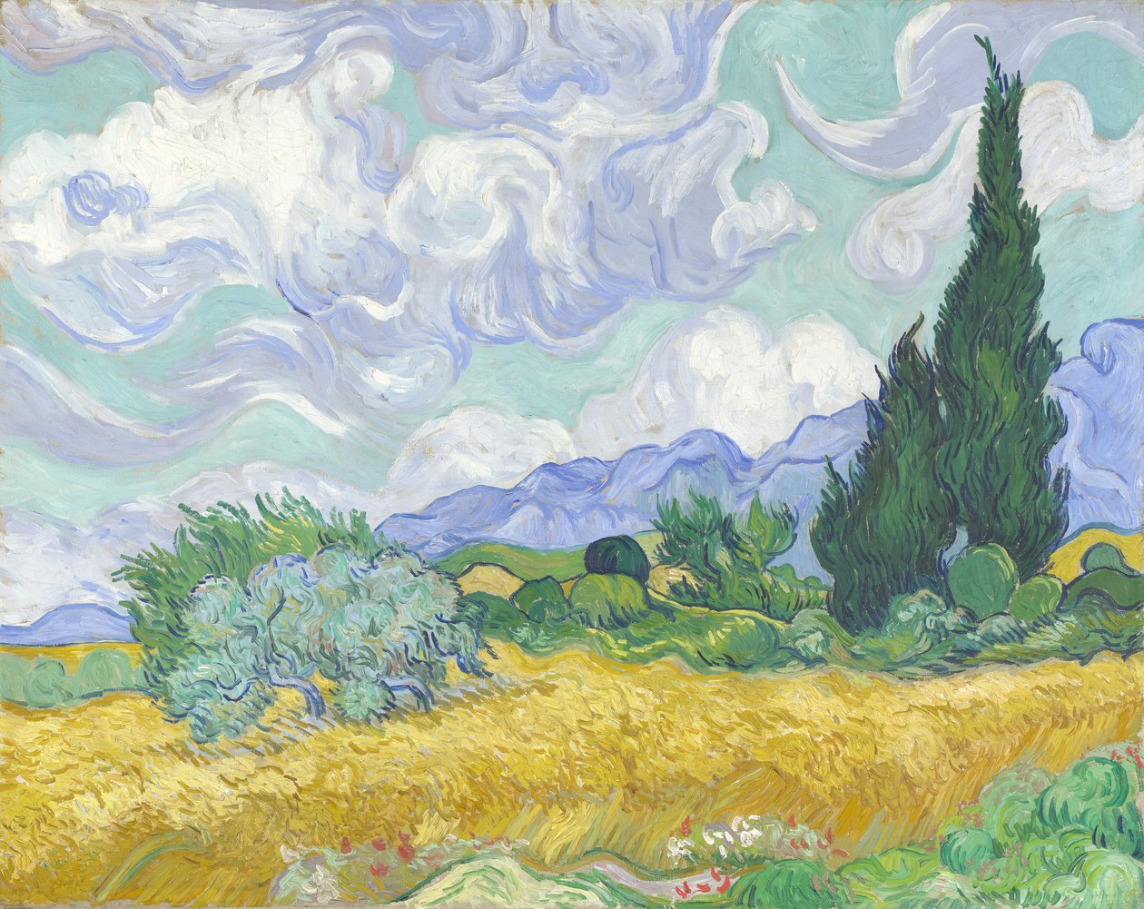 Pole pszenicy z cyprysami autorstwa Vincent van Gogh