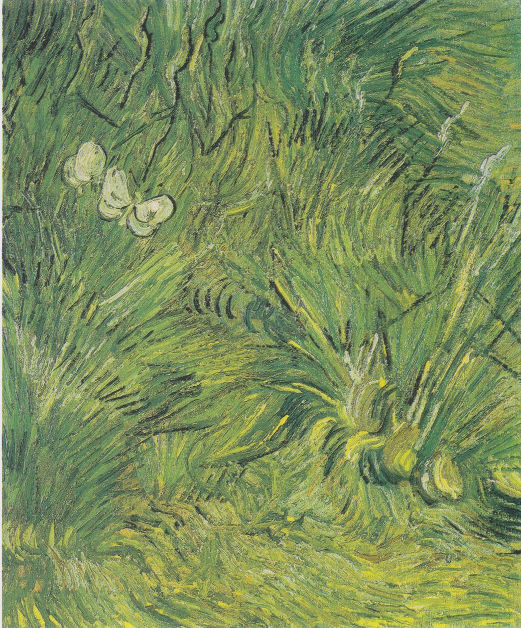 Dwa białe motyle autorstwa Vincent van Gogh