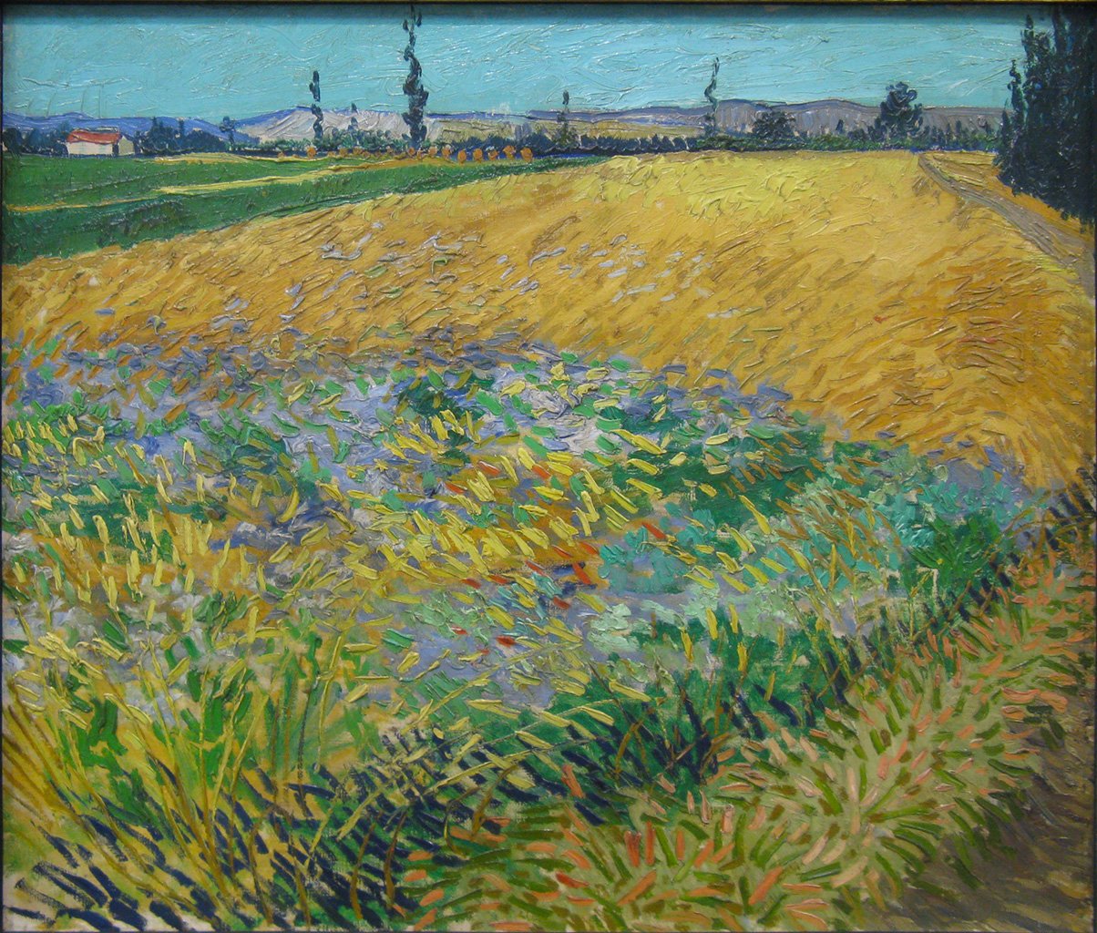 artanonimowy autorstwa Vincent van Gogh