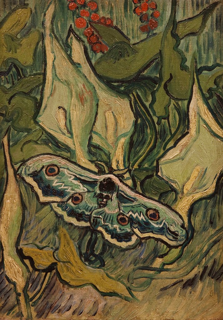 afra autorstwa Vincent van Gogh