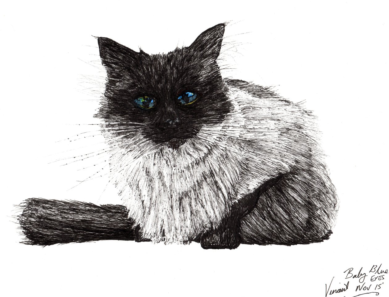 Baby blue eyes, 2015, (tusz na papierze) autorstwa Vincent Alexander Booth