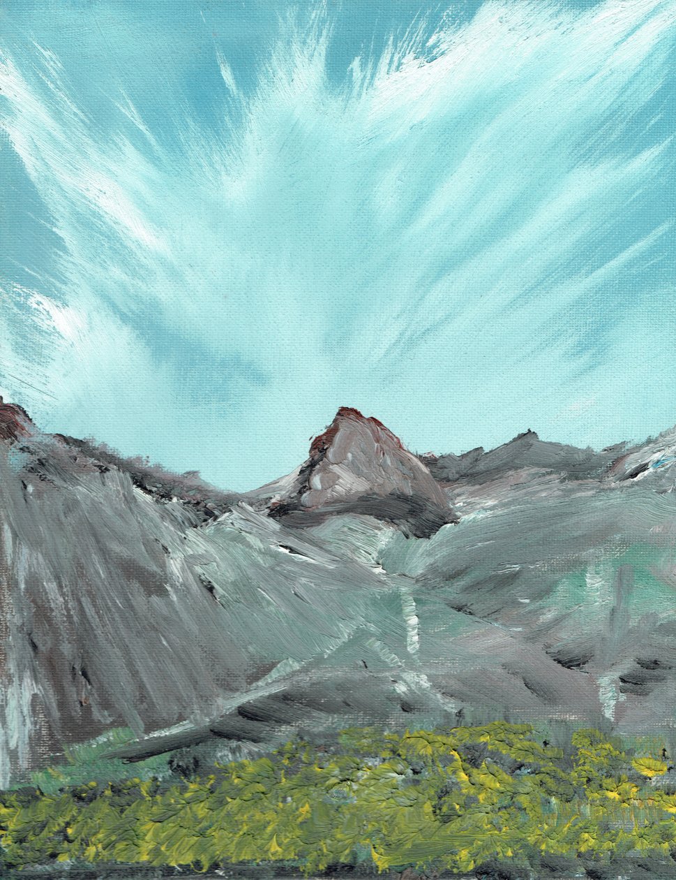 Lakeland Hills, 2010, (akryl na płótnie) autorstwa Vincent Alexander Booth