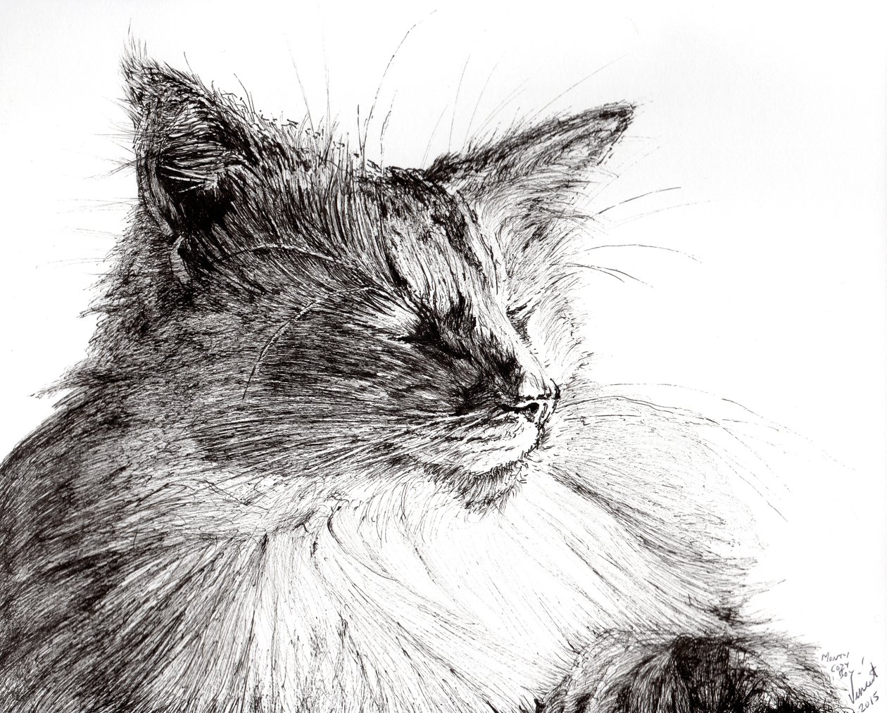 Monty przytulny chłopiec, 2015, (tusz na papierze) autorstwa Vincent Alexander Booth