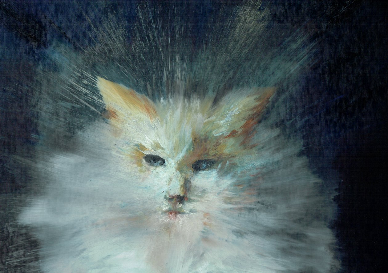 Monty puchacz, 2015, (olej na płótnie) autorstwa Vincent Alexander Booth