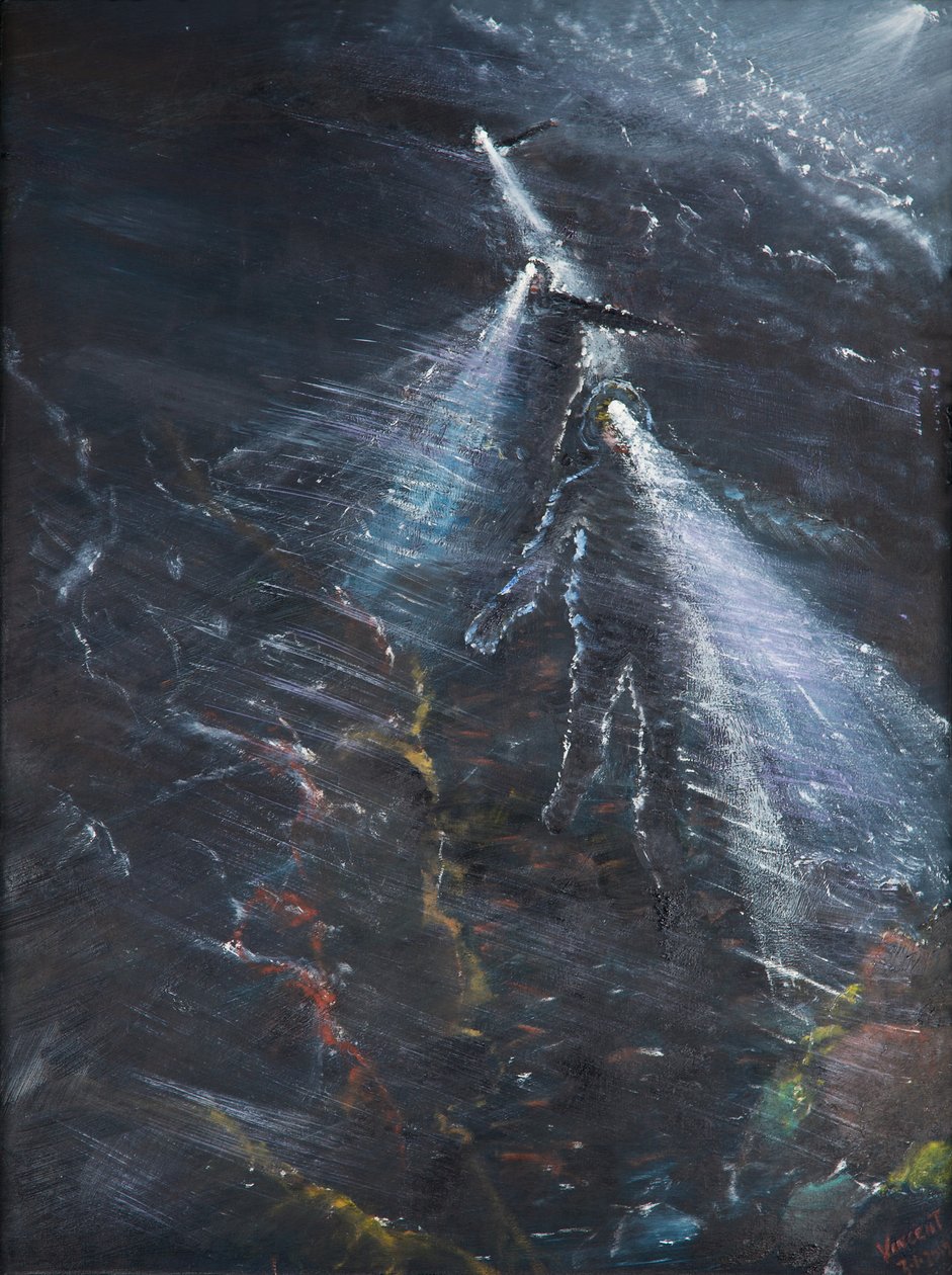 Nocna ucieczka Blencathera, 2016, autorstwa Vincent Alexander Booth