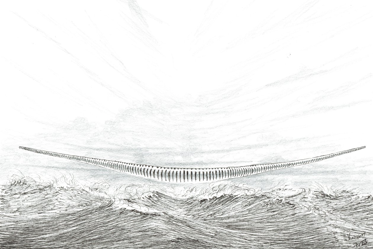 Twórcy burzy, Cape Leveque, 2023 autorstwa Vincent Alexander Booth