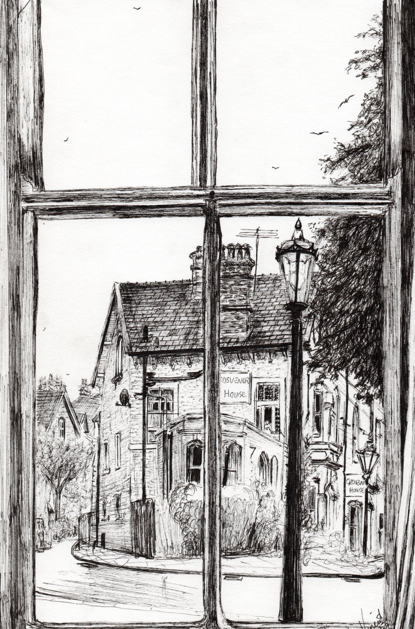 Widok z Old Hall Hotel Buxton, 2009, (tusz na papierze) autorstwa Vincent Alexander Booth
