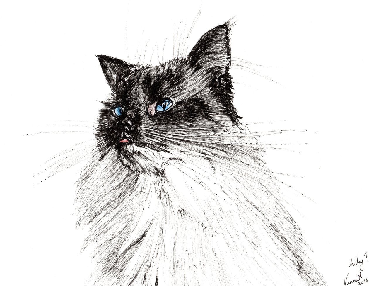 Czemu? 2016, (tusz na papierze) autorstwa Vincent Alexander Booth