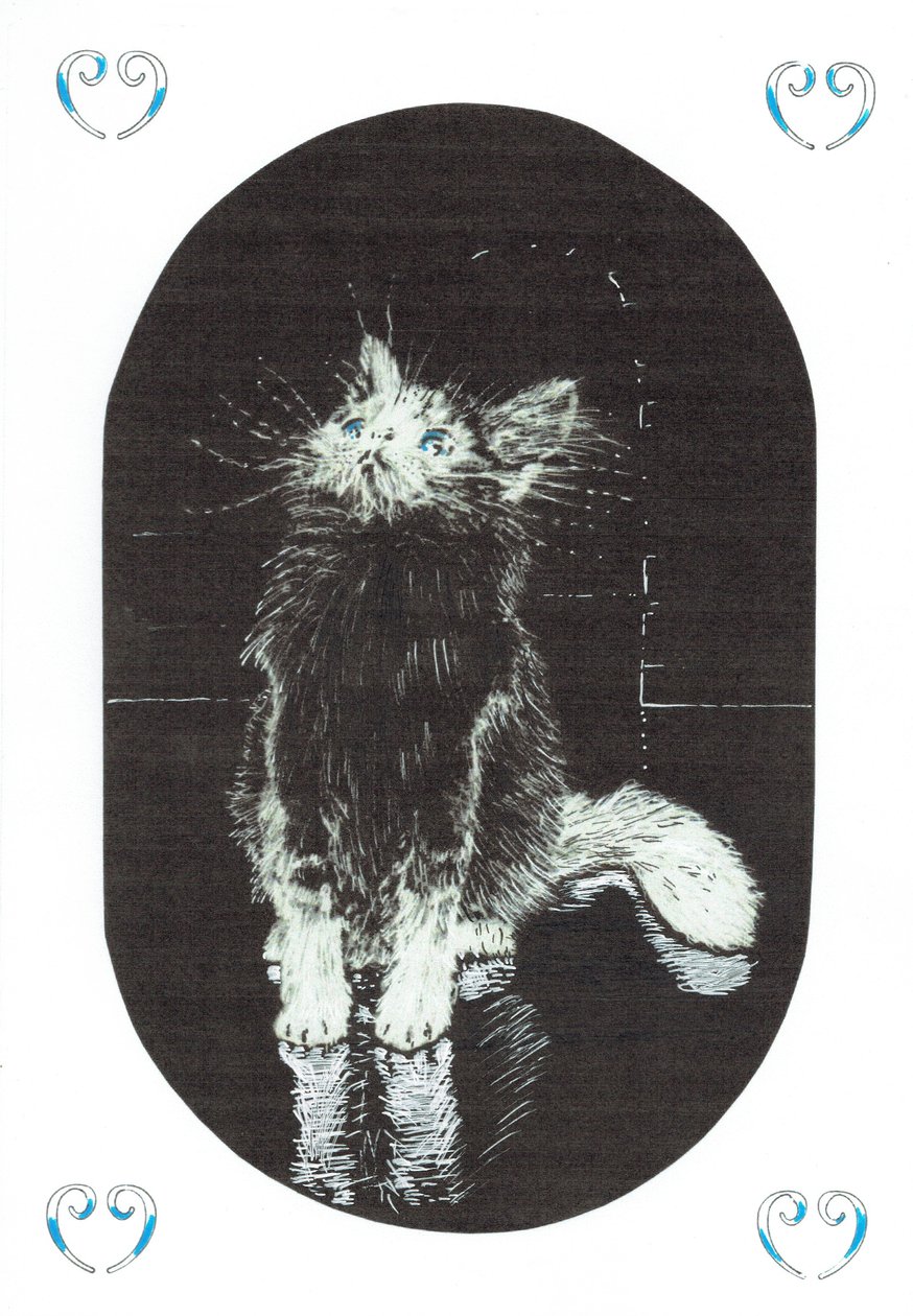 str.1, Zamek w lesie Findhorn, 2006, (tusz na papierze) autorstwa Vincent Alexander Booth