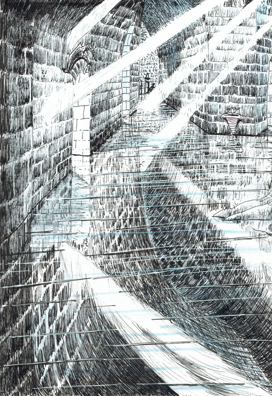 str.25, Zamek w lesie Findhorn, 2006, (tusz na papierze) autorstwa Vincent Alexander Booth