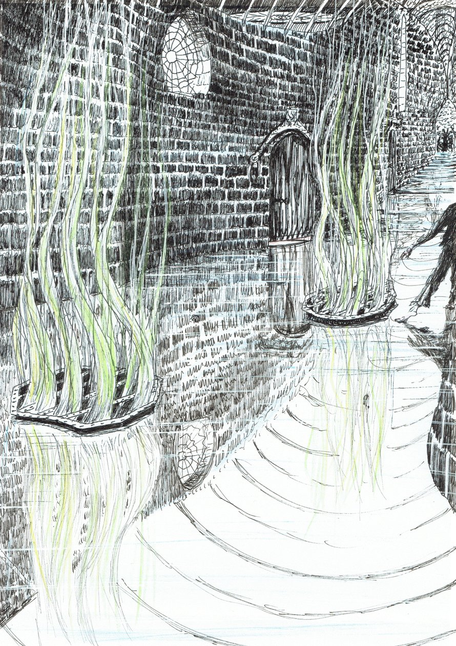 str.29, Zamek w lesie Findhorn, 2006, (tusz na papierze) autorstwa Vincent Alexander Booth