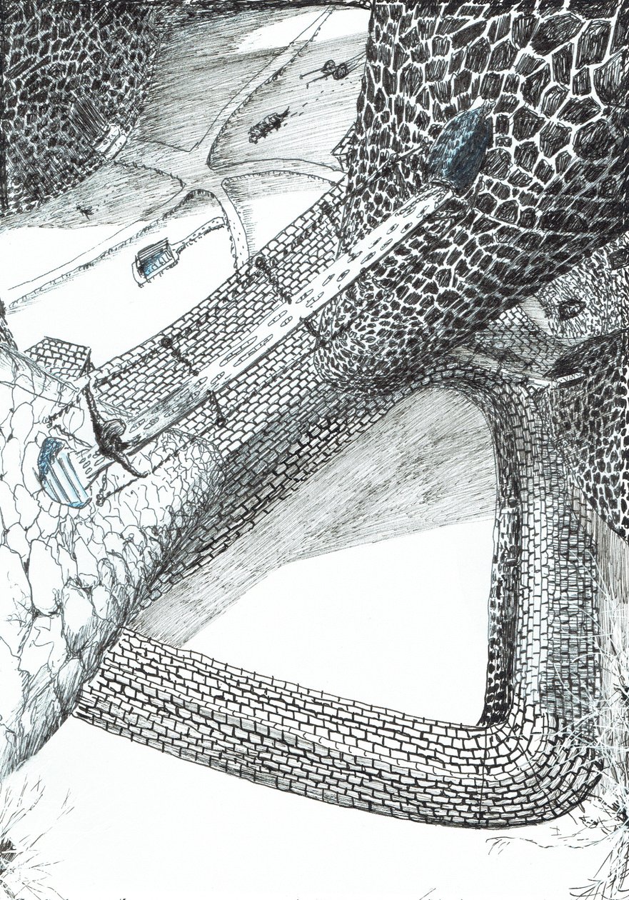 s.31, Zamek w lesie Findhorn, 2006, (tusz na papierze) autorstwa Vincent Alexander Booth