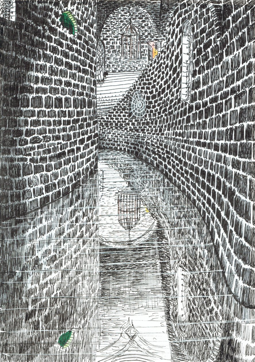 str.35,Zamek w lesie Findhorn, 2006, (tusz na papierze) autorstwa Vincent Alexander Booth