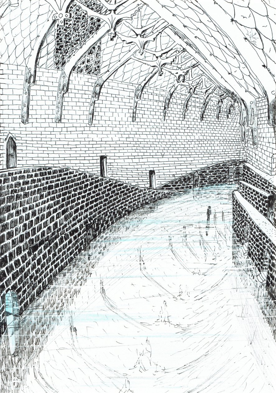 str.41, Zamek w lesie Findhorn, 2006, (tusz na papierze) autorstwa Vincent Alexander Booth