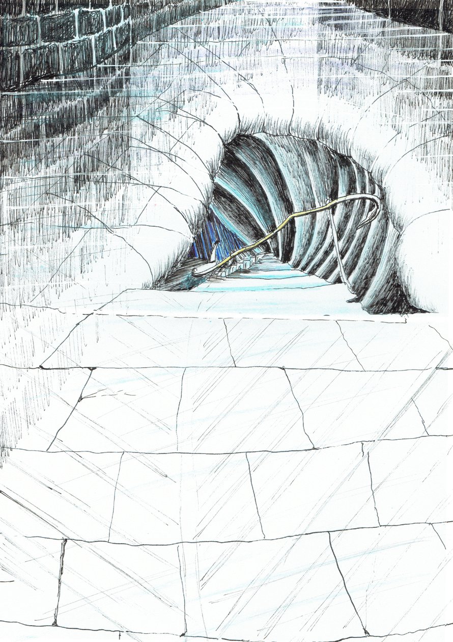str.45, Zamek w lesie Findhorn, 2006, (tusz na papierze) autorstwa Vincent Alexander Booth