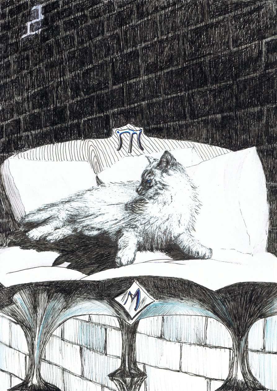 str.52, Zamek w lesie Findhorn, 2006, (tusz na papierze) autorstwa Vincent Alexander Booth