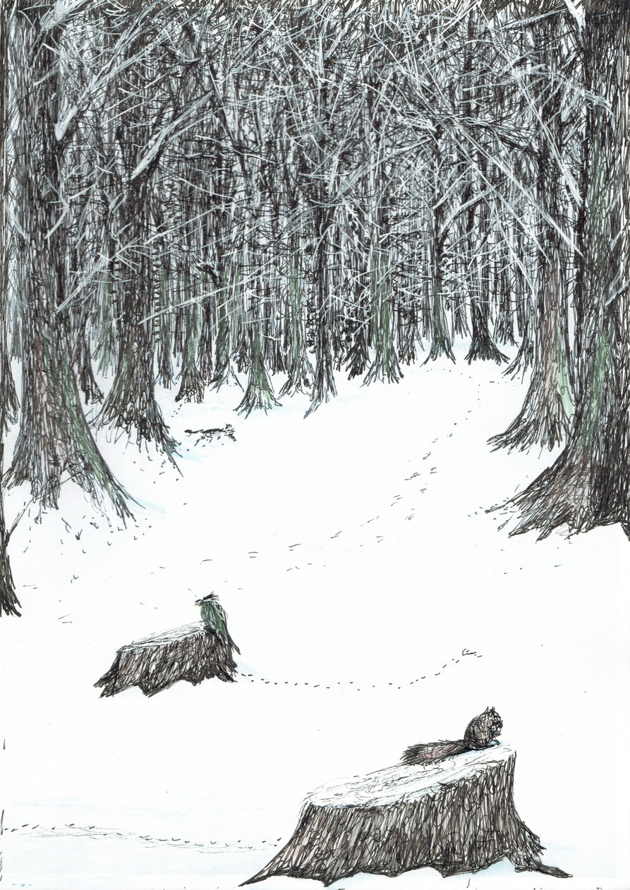 str.5, Zamek w lesie Findhorn, 2006, (tusz na papierze) autorstwa Vincent Alexander Booth