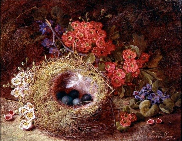 Martwa natura ptasiego gniazda i kwiatu autorstwa Vincent Clare