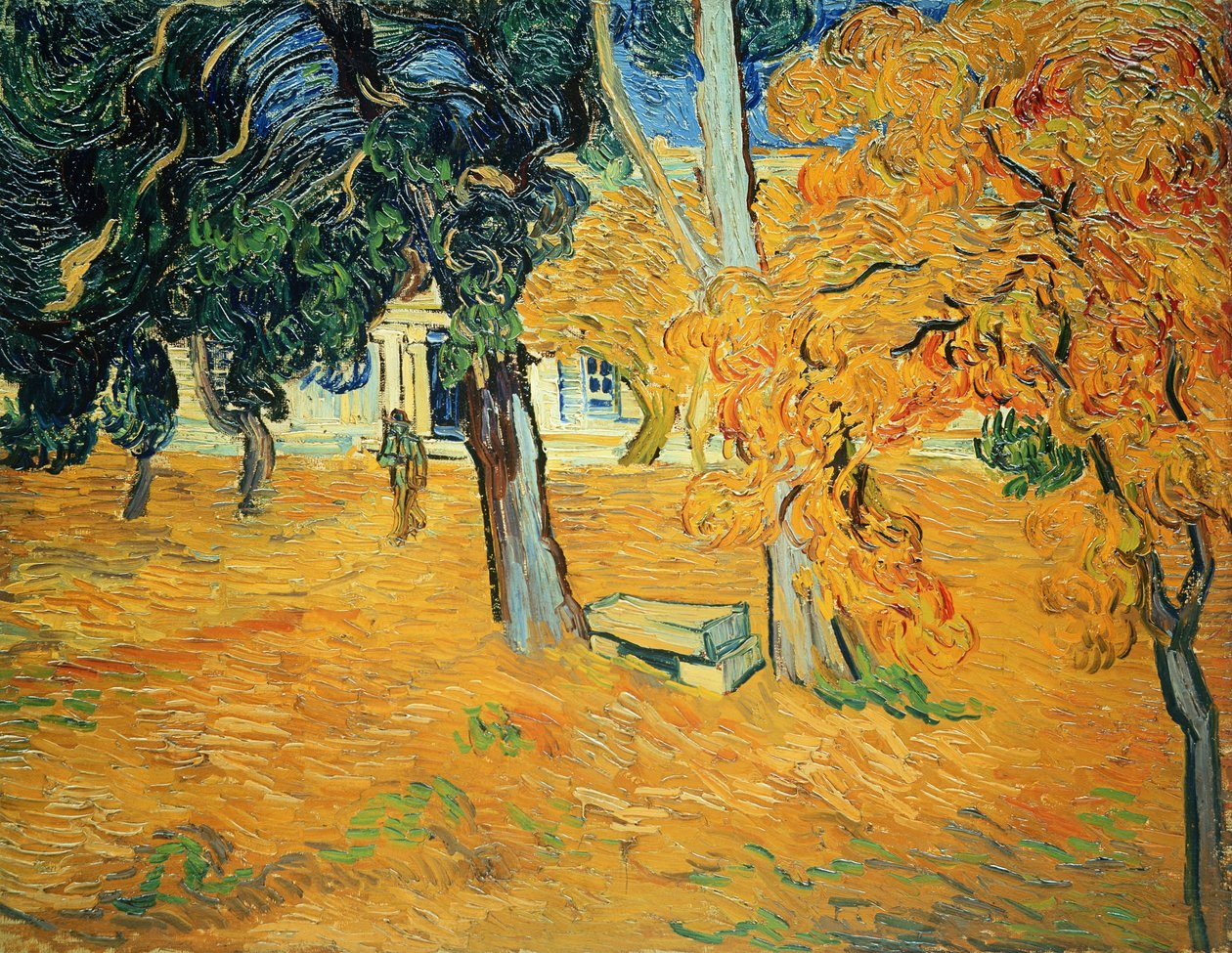 Ogród w szpitalu św. Pawła w Saint-Rémy, 1889. autorstwa Vincent van Gogh