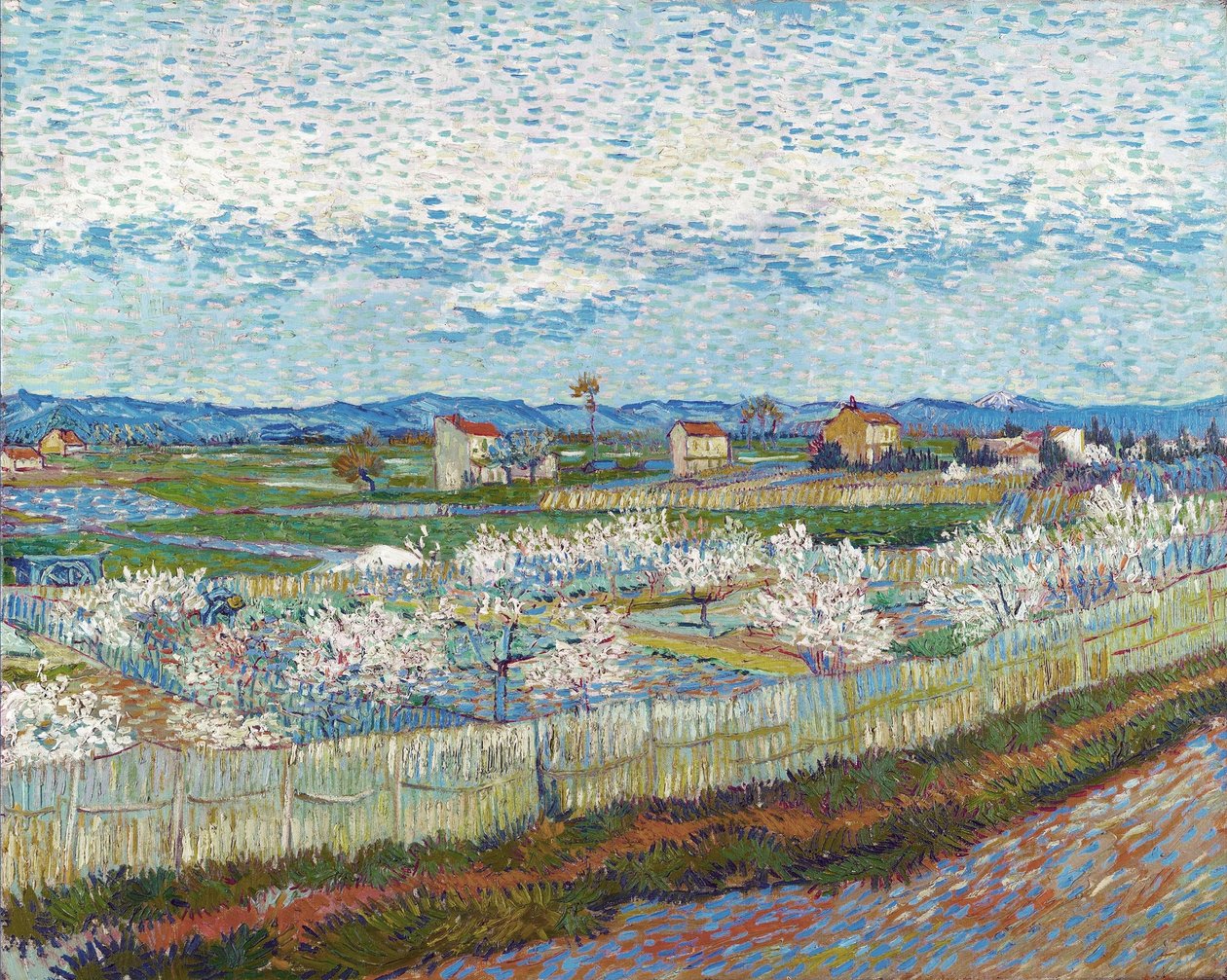 Drzewa brzoskwiniowe w kwiatach, 1889. autorstwa Vincent van Gogh