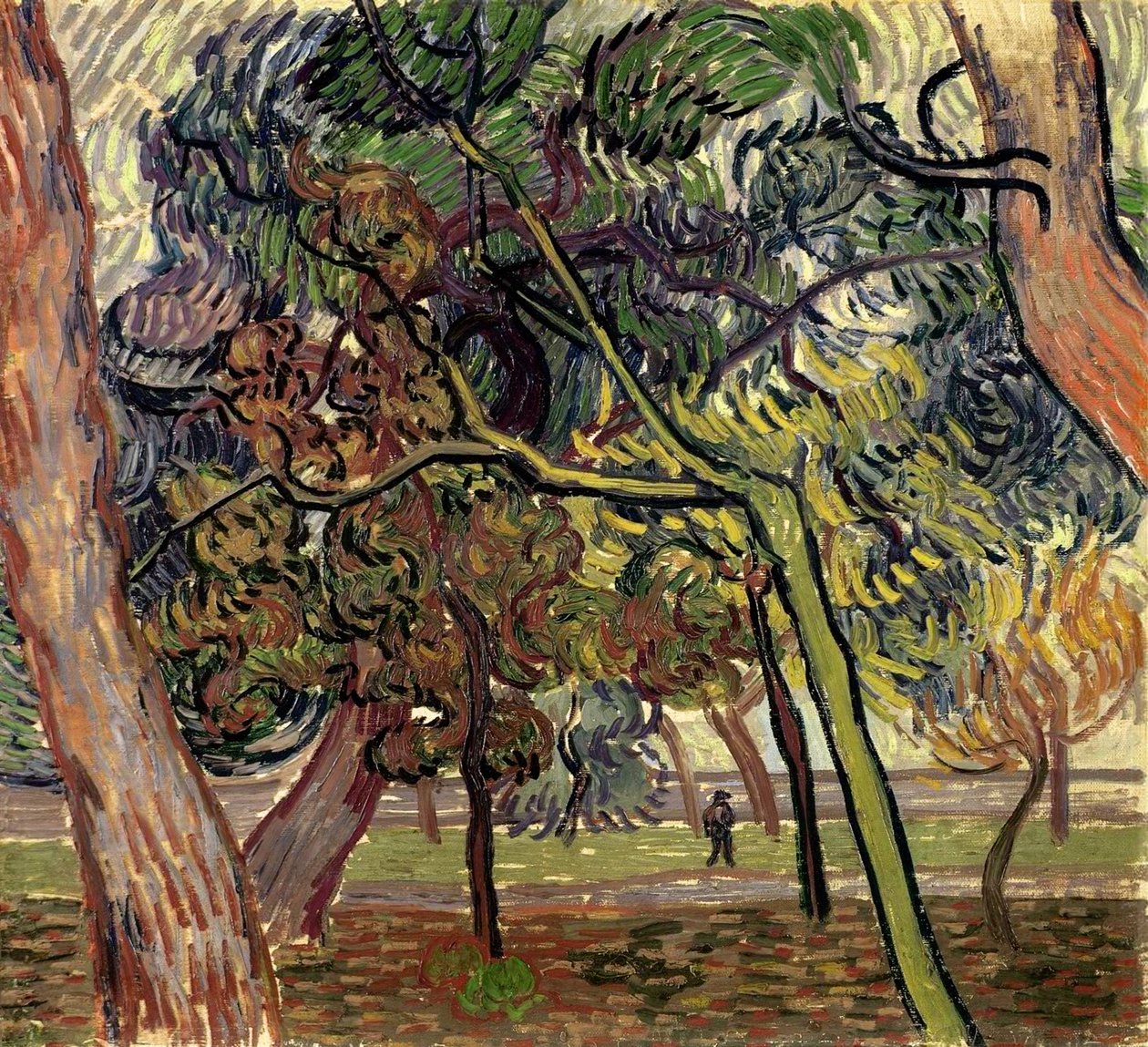 Sosny w ogrodzie przytułku, 1889 r. autorstwa Vincent van Gogh