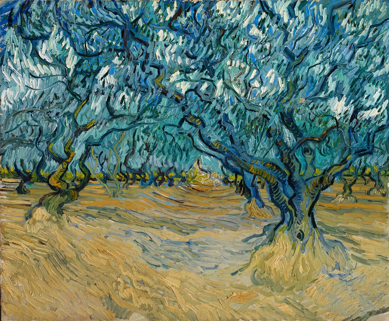 Gaj oliwny, Saint-Rémy, 1889. autorstwa Vincent van Gogh