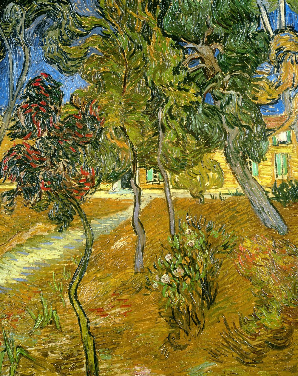 Drzewa w ogrodzie przytułku, 1889. autorstwa Vincent van Gogh