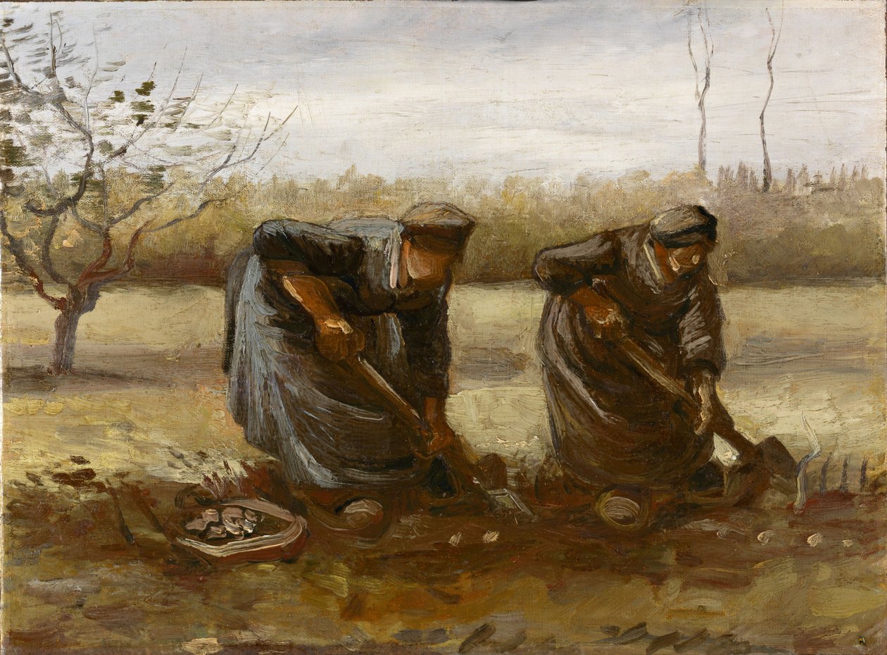 Dwie chłopki kopiące ziemniaki, 1885. autorstwa Vincent van Gogh