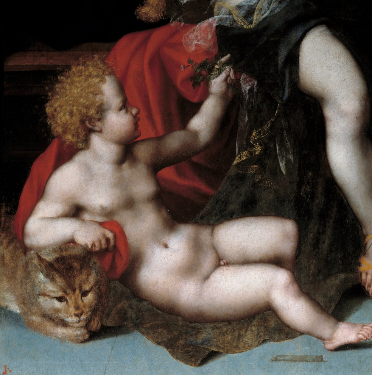 Jowisz w satyrze z Antiope i jej bliźniakami Detail przedstawiającymi jednego z bliźniaków z kotem. Obraz Vincenta Sellaera (ok. 1500-1589) XVI wiek . autorstwa Vincent Sellaer