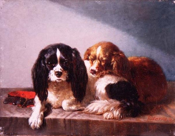 Para Cavalier King Charles Spaniel na półce autorstwa Vincent de Vos