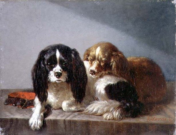 King Charles Spaniele autorstwa Vincent de Vos